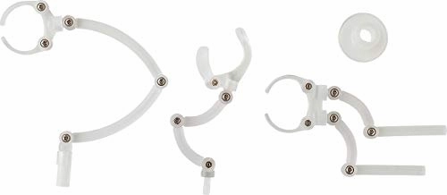 Harmonia bloom Harmonia series Prop Set Designer Display Photo Opportunity