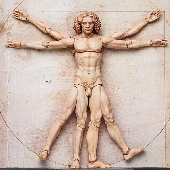 Valentine Gift Detailed Model [Backorder] Figma SP-075 Vitruvian Man (2nd re-run)
