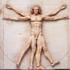 Valentine Gift Detailed Model [Backorder] Figma SP-075 Vitruvian Man (2nd re-run)