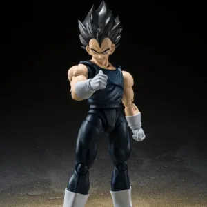 DRAGON BALL SUPER VEGETA SUPER HERO S.H.FIGUARTS Blog Feature Special Color