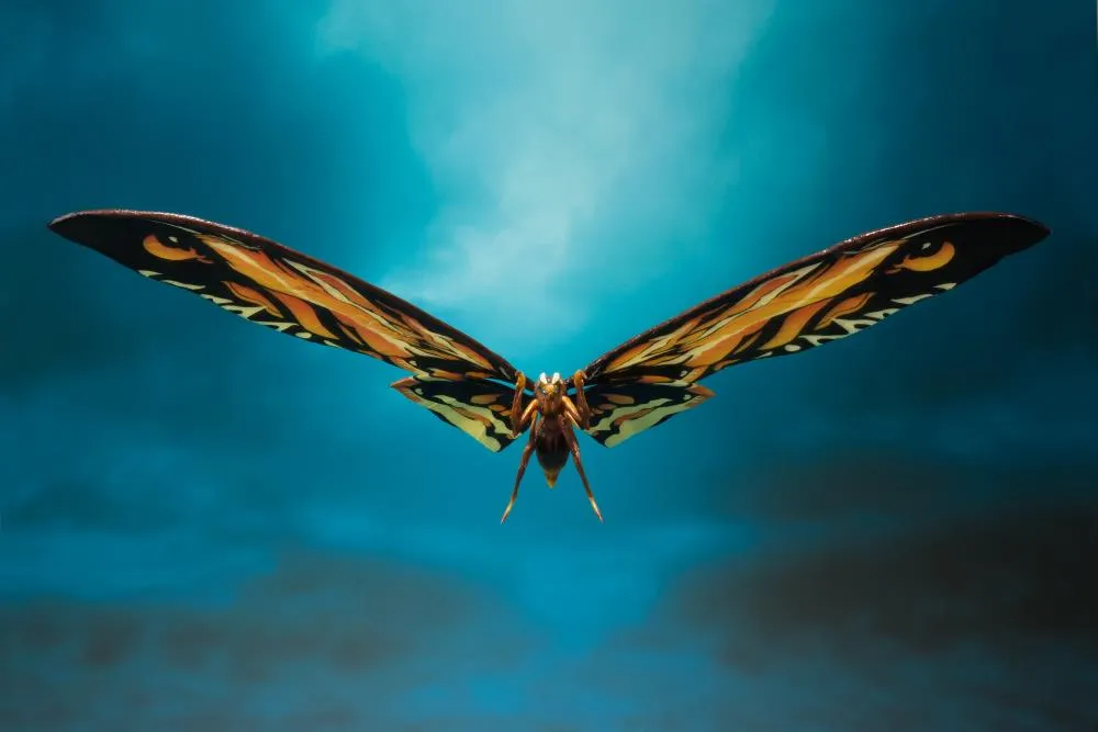 Bandai Tamashii Nations S.H.MonsterArts Godzilla: King of the Monsters Mothra & Rodan Set Action Toy Desktop Toy