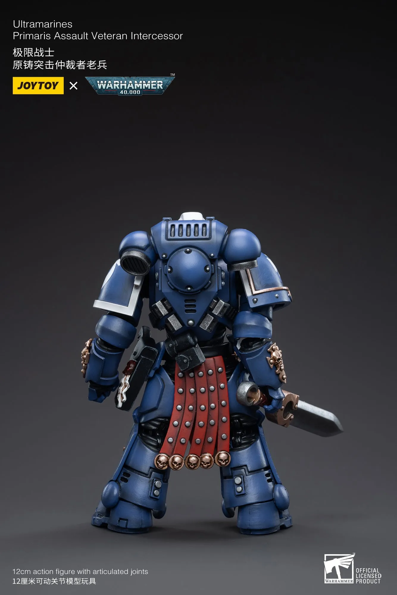 Library Decor Chibi Model WARHAMMER 40K Ultramarines Primaris Assault Veteran Intercessor