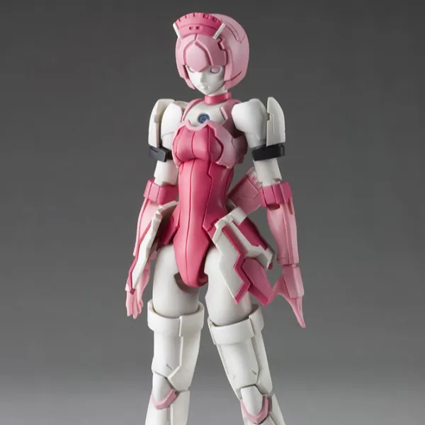 RAcaseal Elenor Ver.APSY (Reissue) Resource Optimization