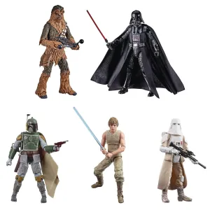 Maximalist Art Star Wars 40th Anniversary The Black Series 6" Wave 36 Set of 5 Figures