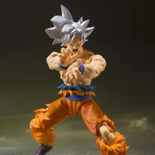 Tamashii Nations S.H.Figuarts Dragon Ball Super Son Goku Ultra Instinct Fantasy Art