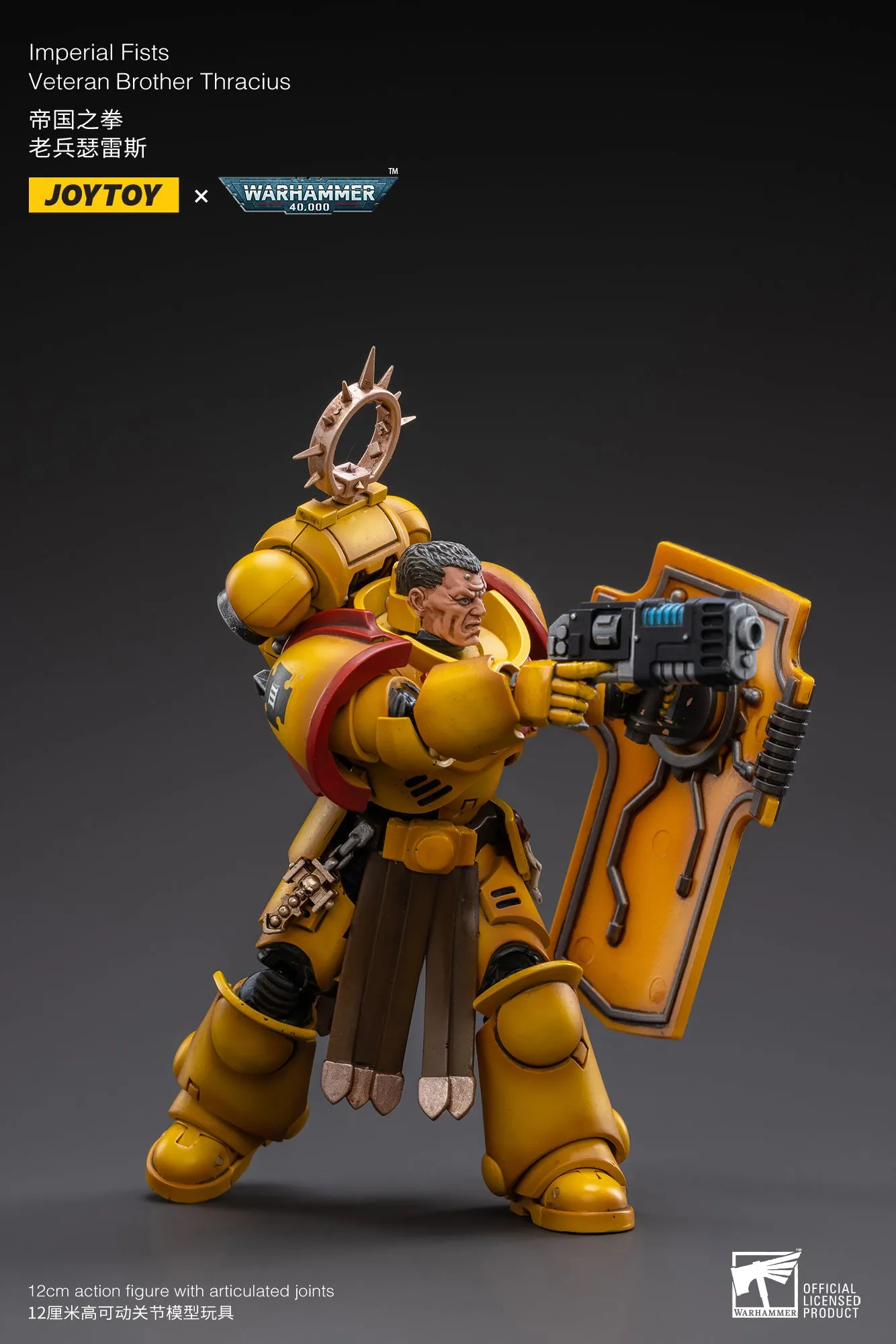 WARHAMMER 40K Imperial Fists Veteran Brother Thracius Collection Showcase Contemporary Art
